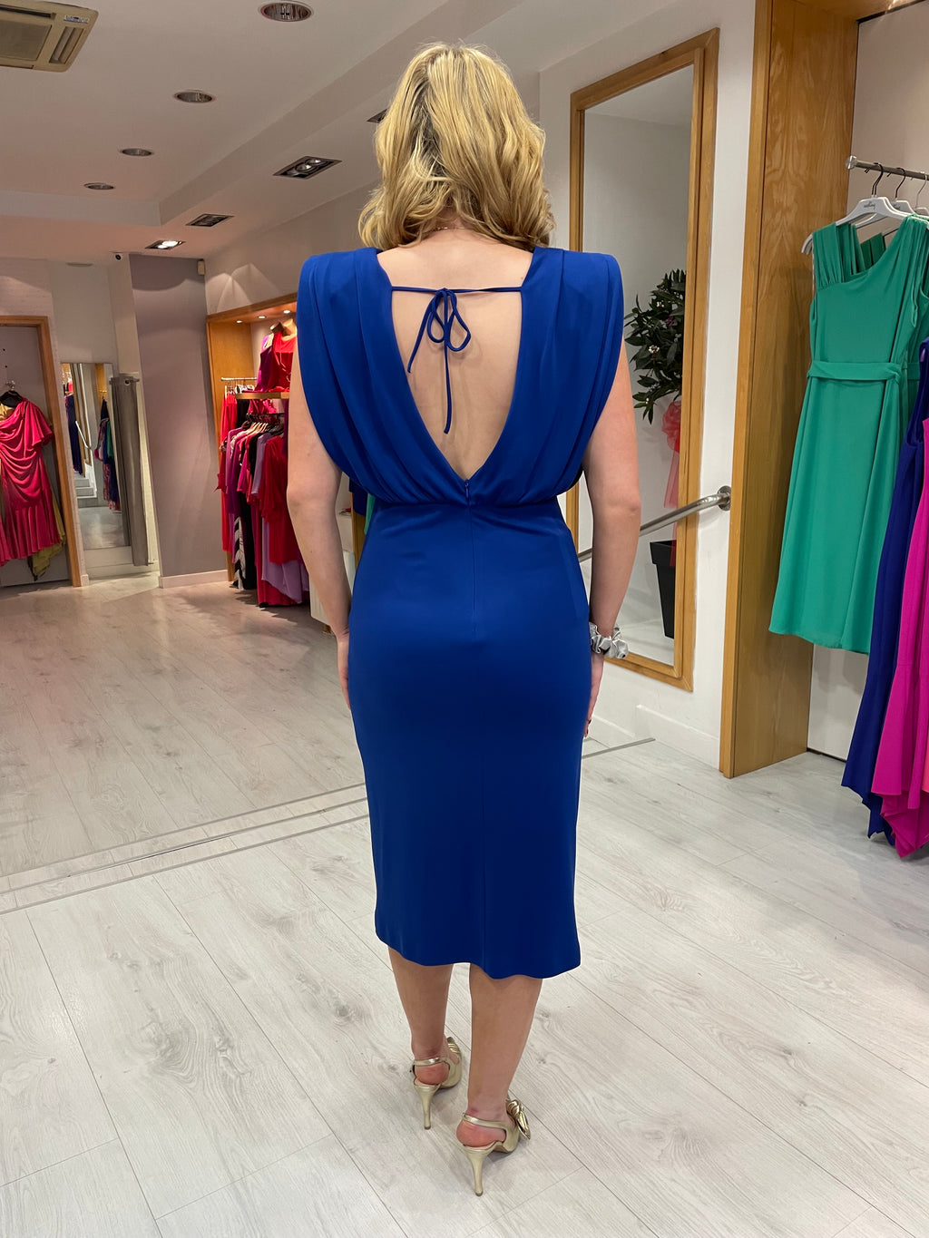 Blue Arggido Ruche Dress
